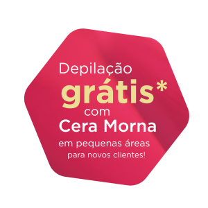 Novas Colmeias Novas Colmeias